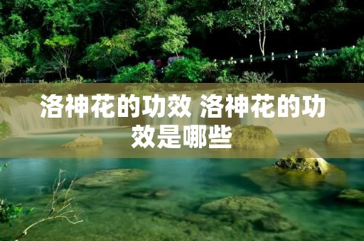 洛神花的功效 洛神花的功效是哪些