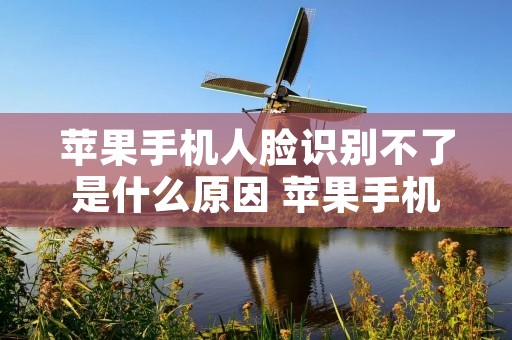 苹果手机人脸识别不了是什么原因 苹果手机人脸识别不了是什么原因造成的