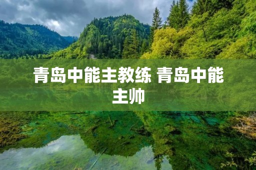 青岛中能主教练 青岛中能主帅 青岛中能主教练 青岛中能主帅