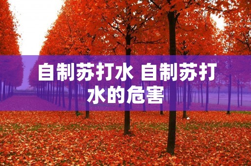 自制苏打水 自制苏打水的危害