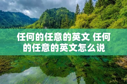 任何的任意的英文 任何的任意的英文怎么说