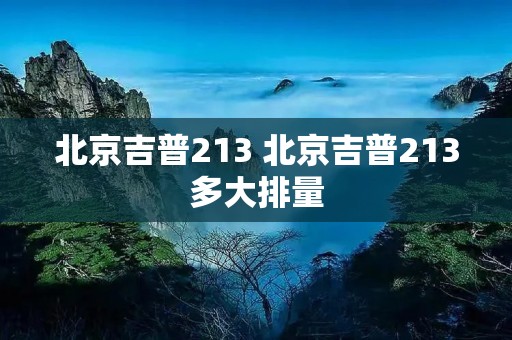 北京吉普213 北京吉普213多大排量 北京吉普213 北京吉普213多大排量