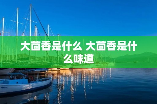 大茴香是什么 大茴香是什么味道