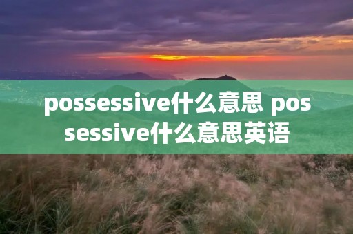possessive什么意思 possessive什么意思英语
