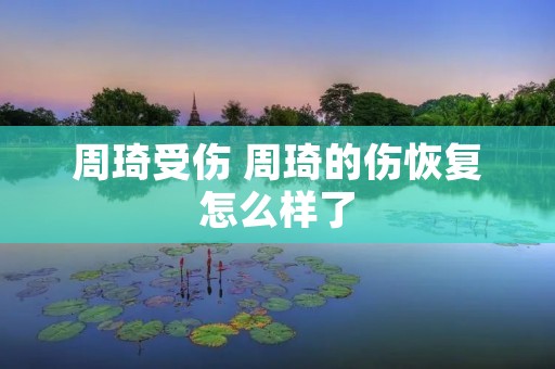周琦受伤 周琦的伤恢复怎么样了
