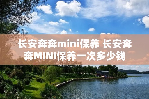 长安奔奔mini保养 长安奔奔MINI保养一次多少钱