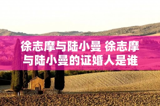 徐志摩与陆小曼 徐志摩与陆小曼的证婚人是谁