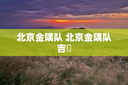 北京金隅队 北京金隅队吉喆