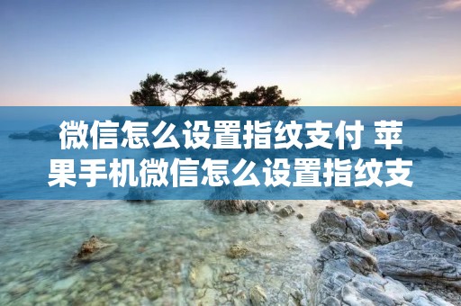微信怎么设置指纹支付 苹果手机微信怎么设置指纹支付
