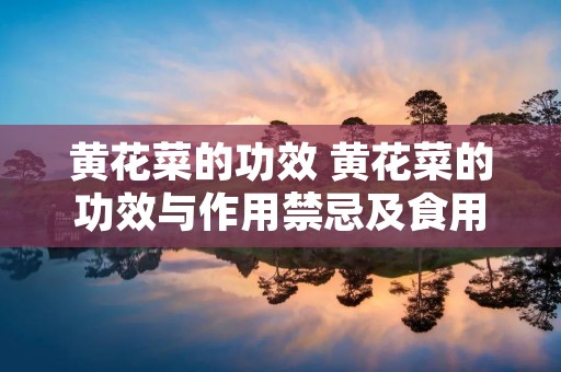 黄花菜的功效 黄花菜的功效与作用禁忌及食用方法