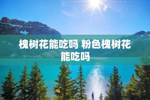 槐树花能吃吗 粉色槐树花能吃吗 槐树花能吃吗 粉色槐树花能吃吗