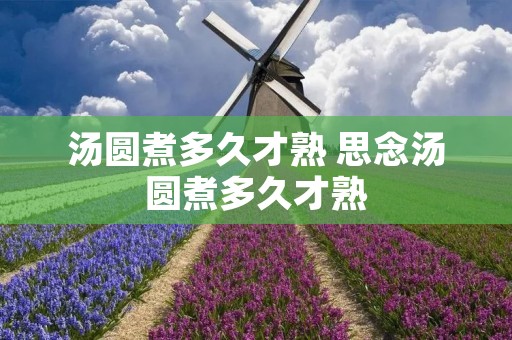汤圆煮多久才熟 思念汤圆煮多久才熟