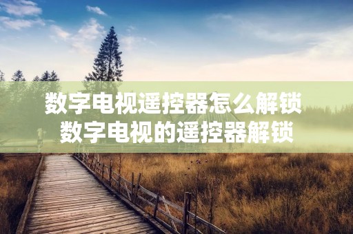 数字电视遥控器怎么解锁 数字电视的遥控器解锁 数字电视遥控器怎么解锁 数字电视的遥控器解锁