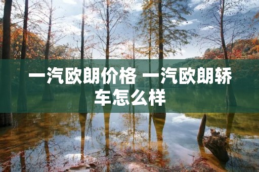 一汽欧朗价格 一汽欧朗轿车怎么样 一汽欧朗价格 一汽欧朗轿车怎么样
