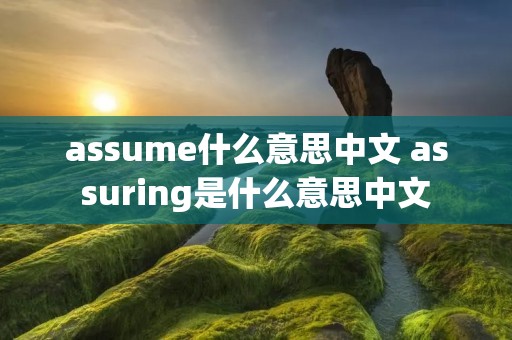 assume什么意思中文 assuring是什么意思中文
