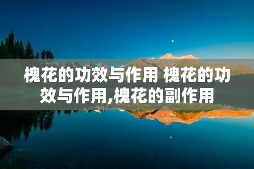 槐花的功效与作用 槐花的功效与作用,槐花的副作用