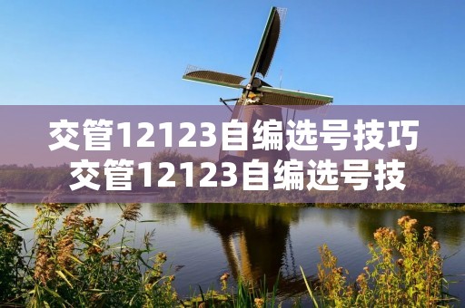 交管12123自编选号技巧 交管12123自编选号技巧知乎