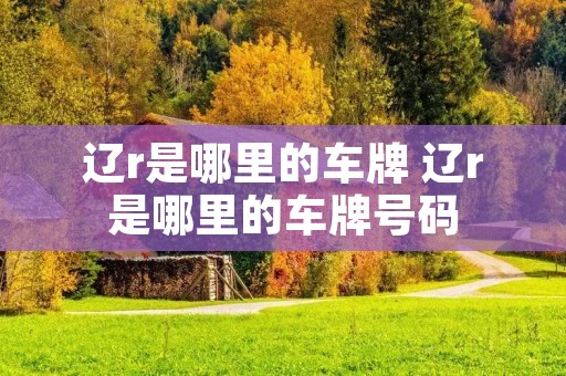 辽r是哪里的车牌 辽r是哪里的车牌号码