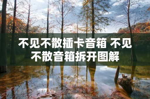 不见不散插卡音箱 不见不散音箱拆开图解 不见不散插卡音箱 不见不散音箱拆开图解