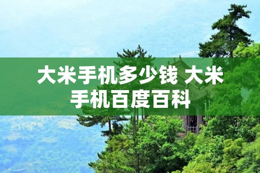 大米手机多少钱 大米手机百度百科