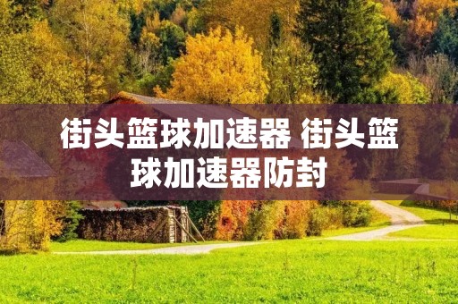 街头篮球加速器 街头篮球加速器防封
