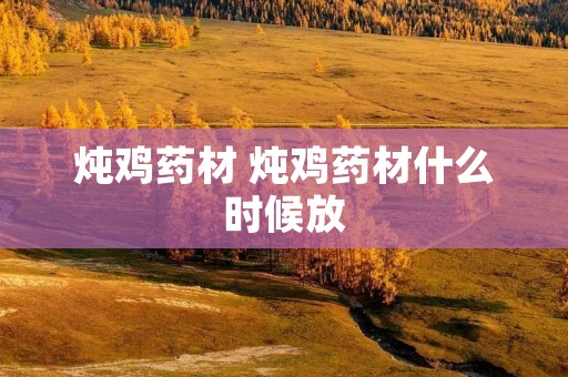 炖鸡药材 炖鸡药材什么时候放