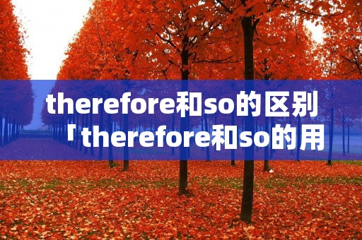 therefore和so的区别「therefore和so的用法区别」