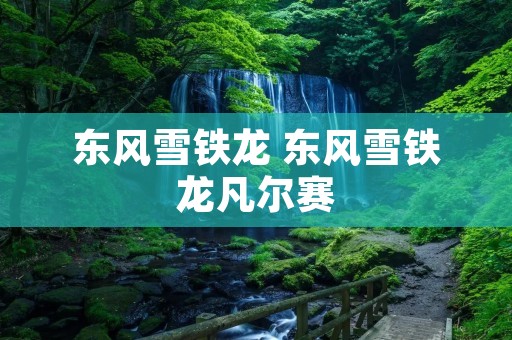 东风雪铁龙 东风雪铁龙凡尔赛
