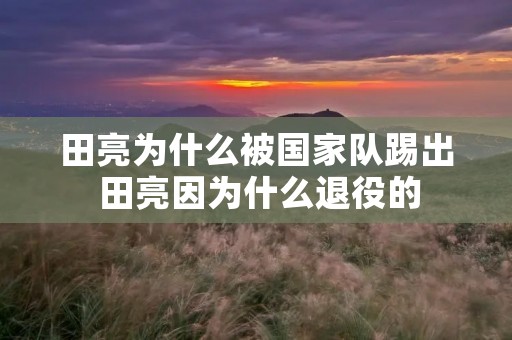 田亮为什么被国家队踢出 田亮因为什么退役的