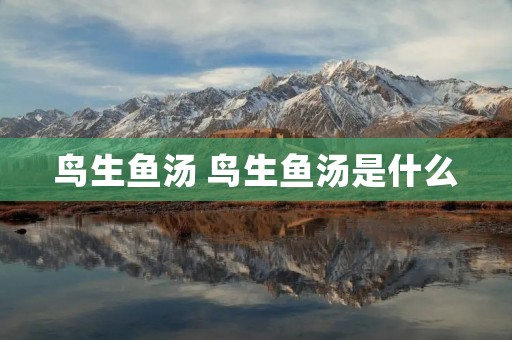 鸟生鱼汤 鸟生鱼汤是什么 鸟生鱼汤 鸟生鱼汤是什么