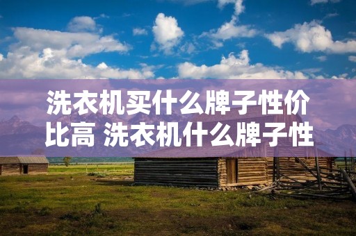 洗衣机买什么牌子性价比高 洗衣机什么牌子性价比高的