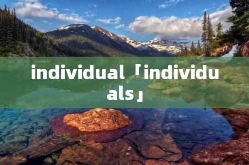 individual「individuals」 individual「individuals」