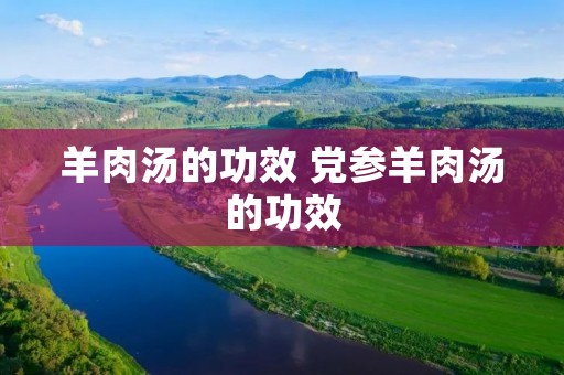 羊肉汤的功效 党参羊肉汤的功效