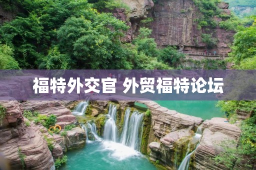 福特外交官 外贸福特论坛