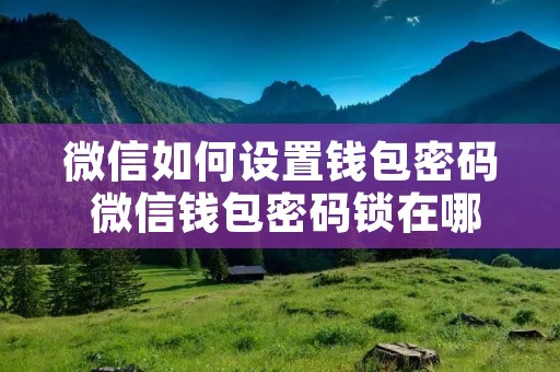 微信如何设置钱包密码 微信钱包密码锁在哪里设置