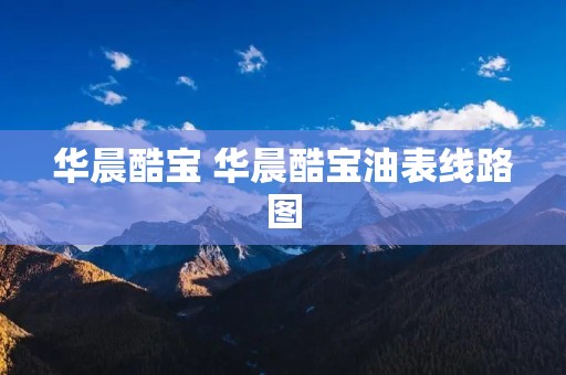 华晨酷宝 华晨酷宝油表线路图 华晨酷宝 华晨酷宝油表线路图
