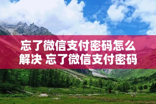 忘了微信支付密码怎么解决 忘了微信支付密码怎么解决呢