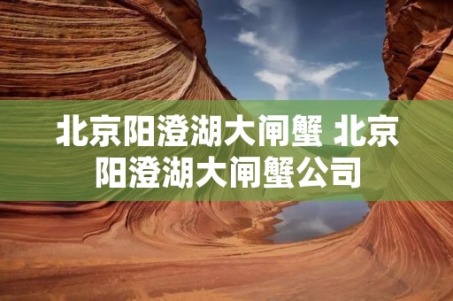 北京阳澄湖大闸蟹 北京阳澄湖大闸蟹公司 北京阳澄湖大闸蟹 北京阳澄湖大闸蟹公司