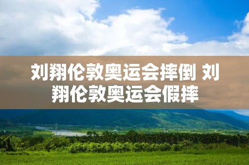 刘翔伦敦奥运会摔倒 刘翔伦敦奥运会假摔