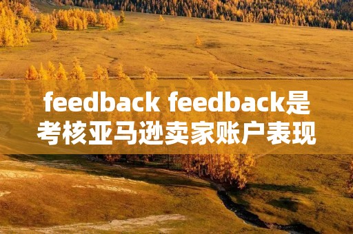 feedback feedback是考核亚马逊卖家账户表现的指标之一对不对