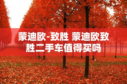 蒙迪欧-致胜 蒙迪欧致胜二手车值得买吗 蒙迪欧-致胜 蒙迪欧致胜二手车值得买吗