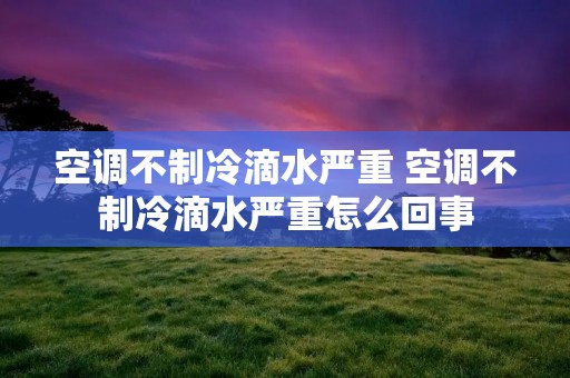 空调不制冷滴水严重 空调不制冷滴水严重怎么回事
