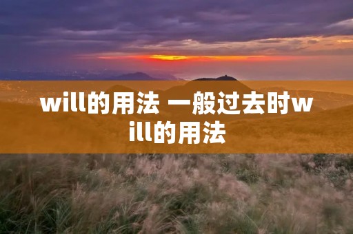 will的用法 一般过去时will的用法