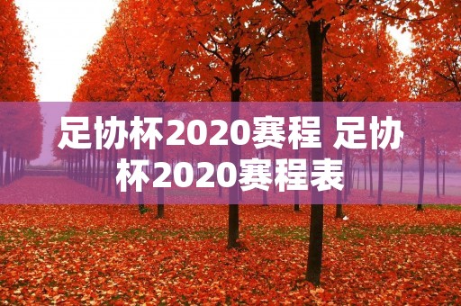 足协杯2020赛程 足协杯2020赛程表 足协杯2020赛程 足协杯2020赛程表