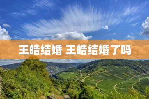 王皓结婚 王皓结婚了吗 王皓结婚 王皓结婚了吗
