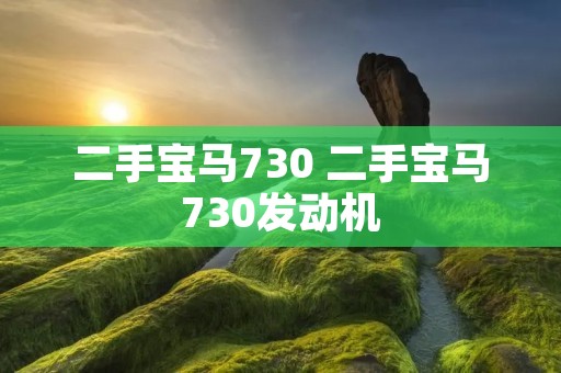 二手宝马730 二手宝马730发动机 二手宝马730 二手宝马730发动机