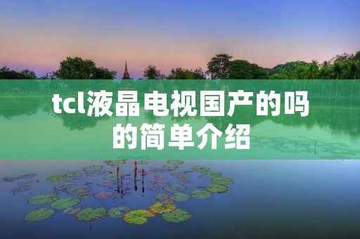 tcl液晶电视国产的吗的简单介绍