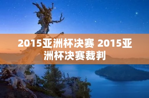 2015亚洲杯决赛 2015亚洲杯决赛裁判 2015亚洲杯决赛 2015亚洲杯决赛裁判