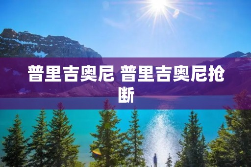 普里吉奥尼 普里吉奥尼抢断