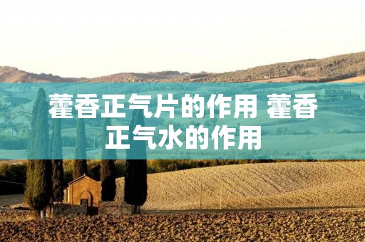 藿香正气片的作用 藿香正气水的作用